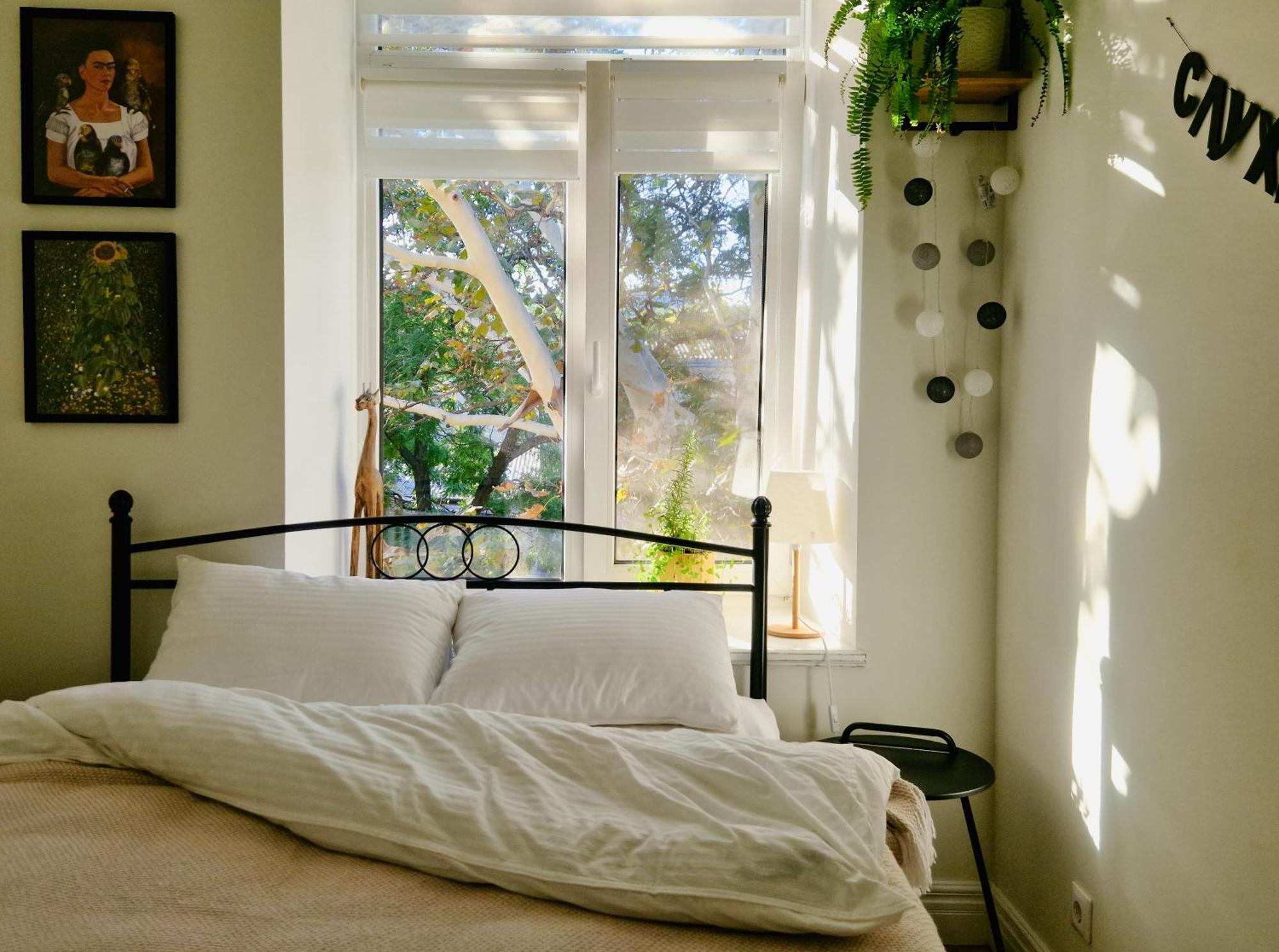 Scandi Group Apartaments Одеса Номер фото